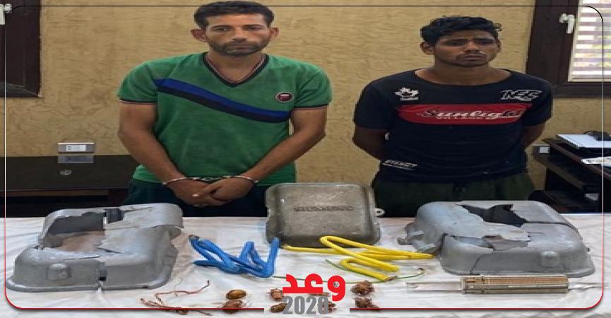 أفراد العصابة 