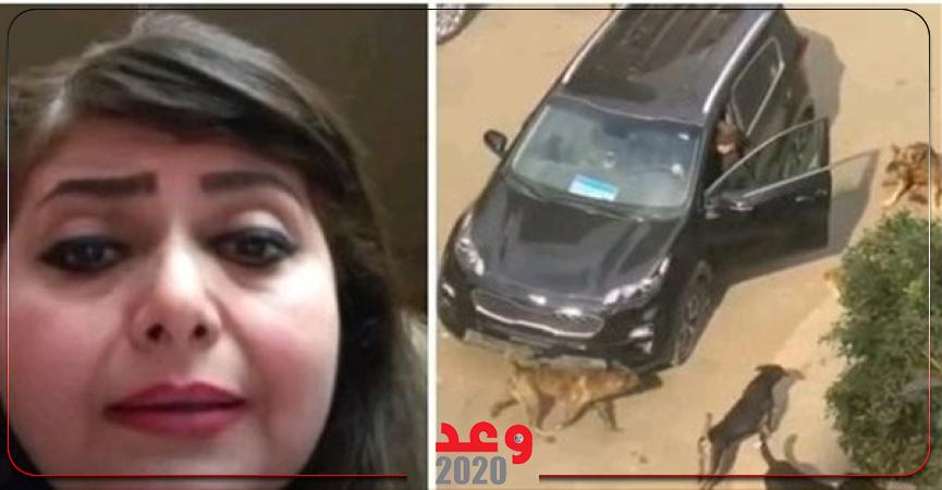 وعد 2020